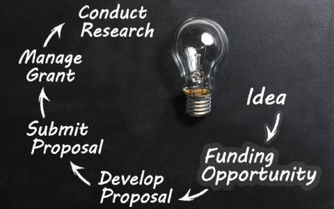 ACSR Funding Opportunity: AMC Fellowship Program