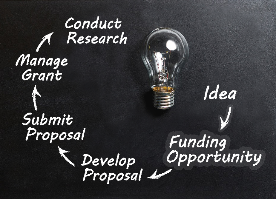 ACSR Funding Opportunity: AMC Fellowship Program