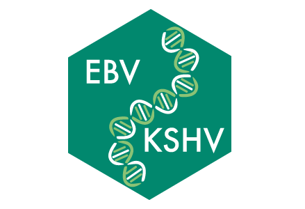 2018 EBV & KSHV