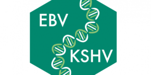 2018 EBV & KSHV